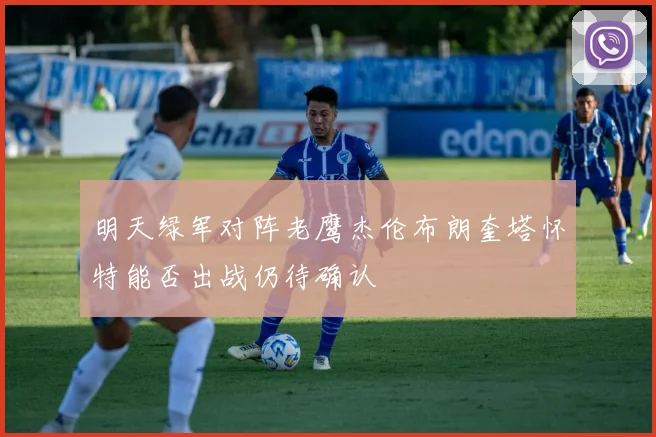 明天绿军对阵老鹰杰伦布朗奎塔怀特能否出战仍待确认