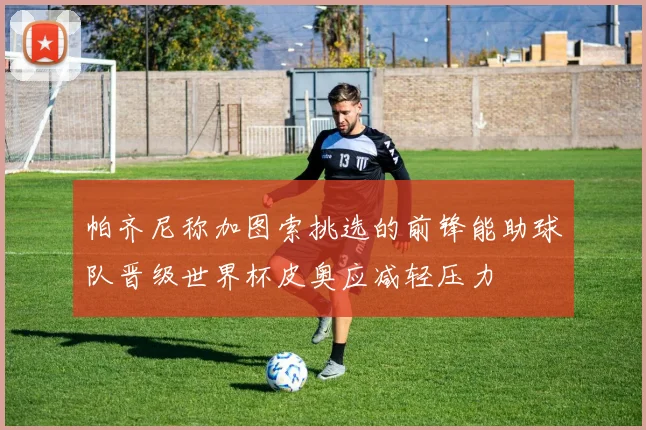 帕齐尼称加图索挑选的前锋能助球队晋级世界杯皮奥应减轻压力